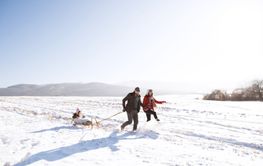 Father and mother pulling daughter on sledge, running. Winter na