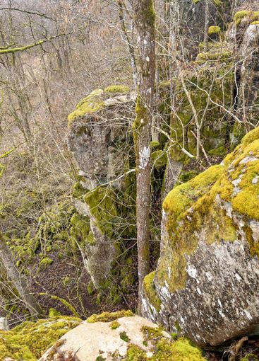 Rock face in a forest landscape at spring