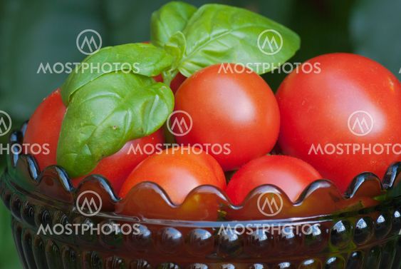 Tomatoes