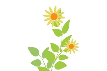 Spring blooming leaves and flowers illustration