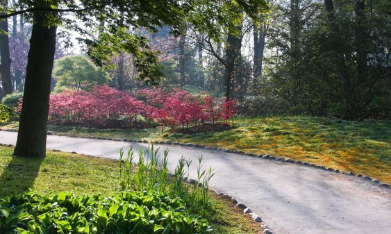 Path in Japanese garden in spring
