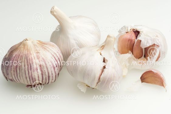 Garlic Bulbs (Allium sativum)
