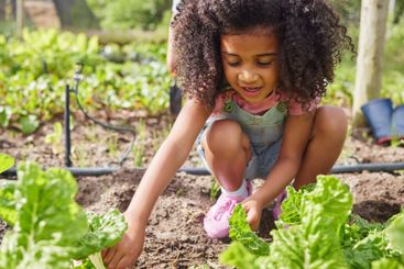 Field trip, girl and learning with school girl on farm...