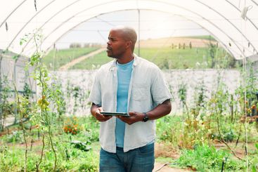 Farming, black man and digital with tablet for...