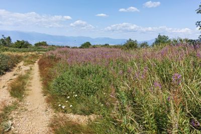 Summer landscape of Belasitsa Mountain, Bulgaria