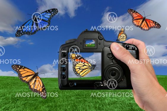 Photographer Shooting Butterflies in the Air