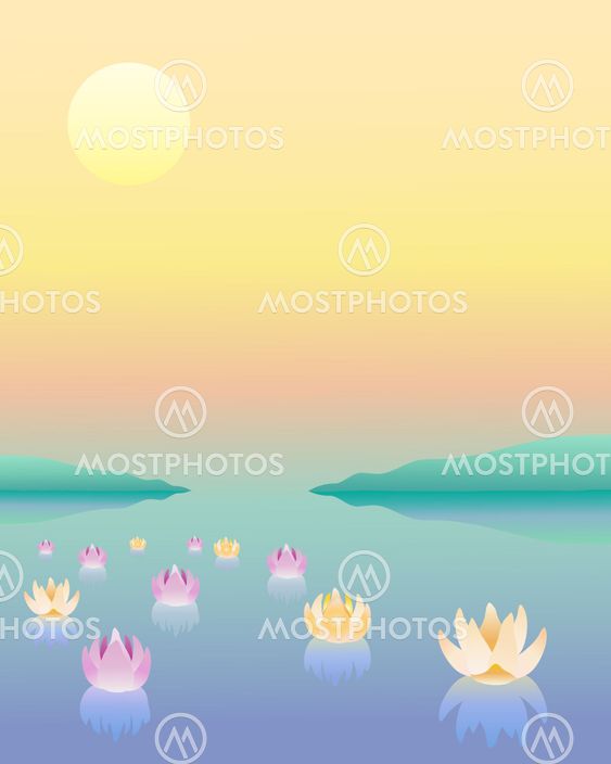 lotus flowers