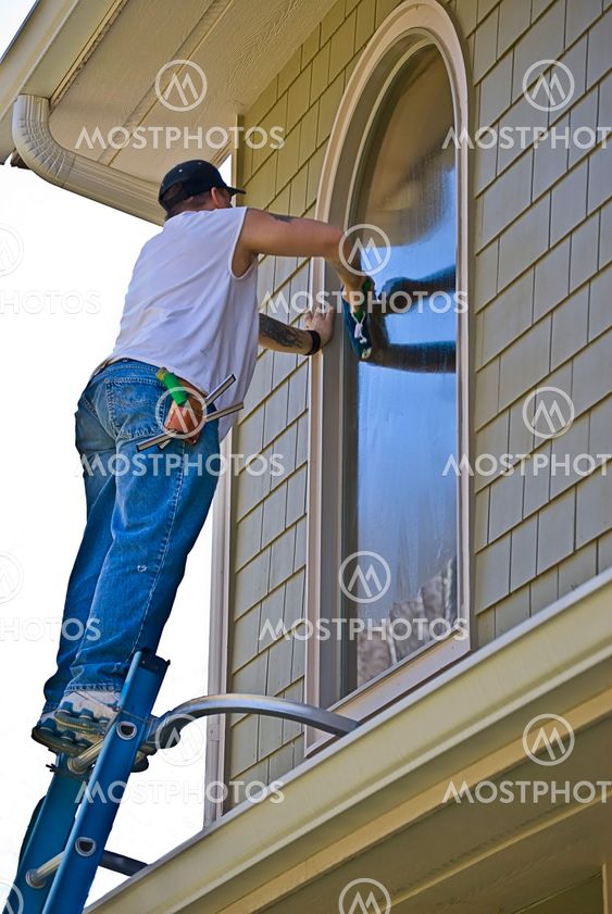 Professional Window Cleaner