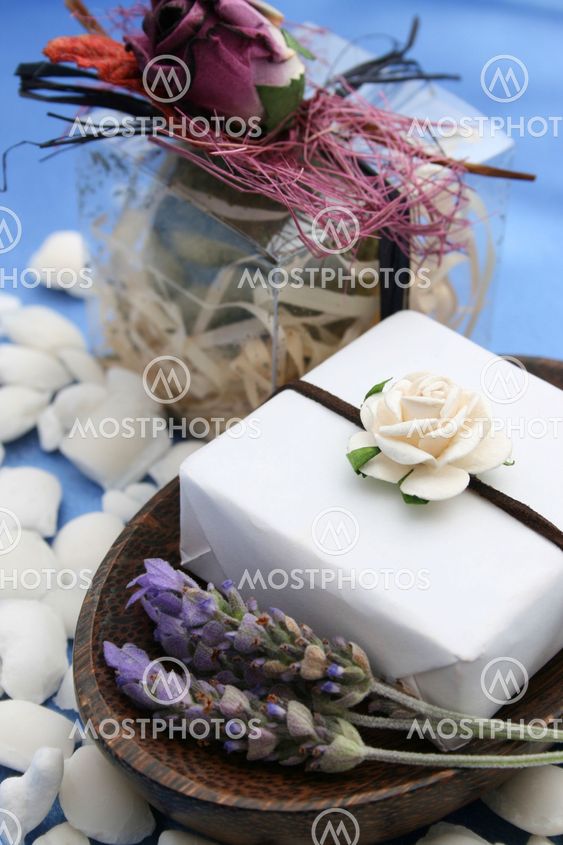 Soap Dish