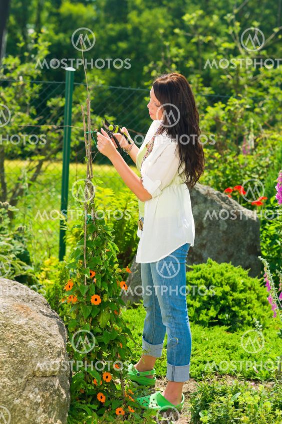 Summer gardening young beautiful woman cut flower