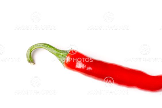 hot chili pepper, isolated and with copyspace