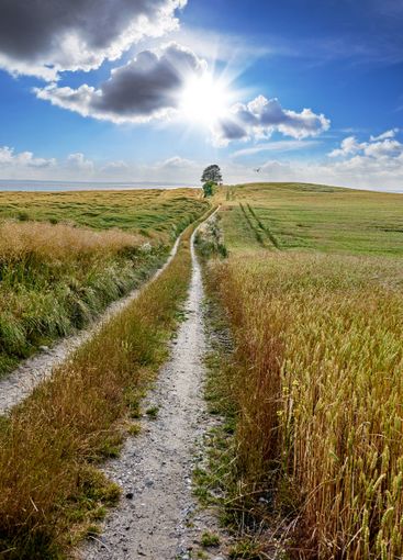 Nature, path and grass field with blue sky in...