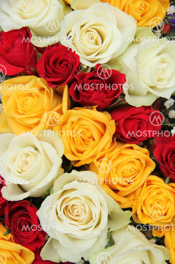 Yellow, white and red roses in a wedding arrangement