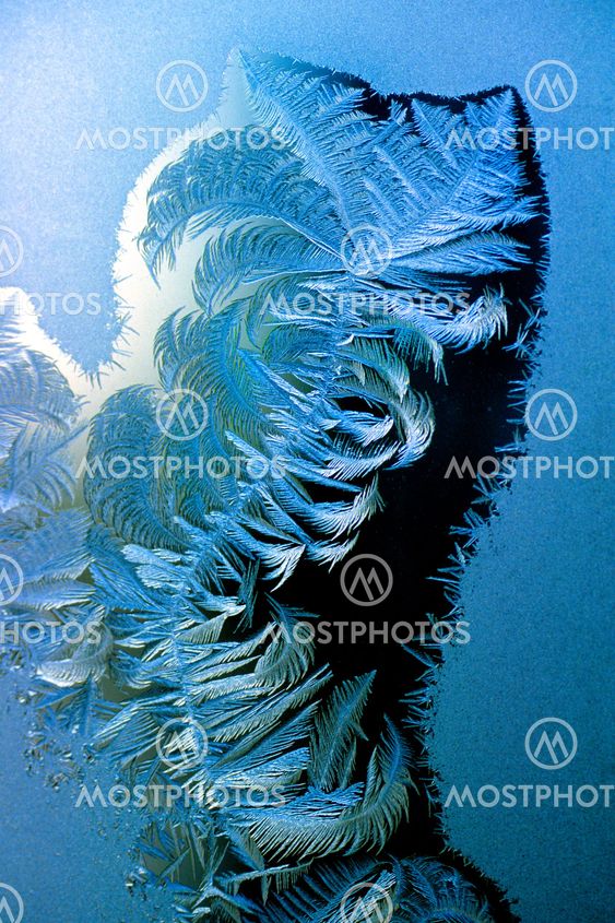 Frost on a window pane 2