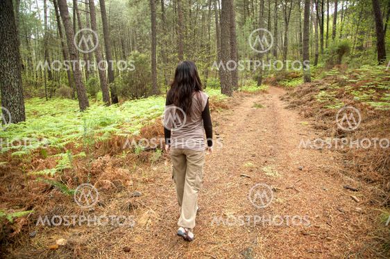 Walking on skoven