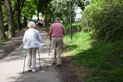 Powerful happy elderly people are walking with hiking...