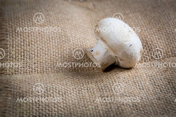 Champignon on wooden background