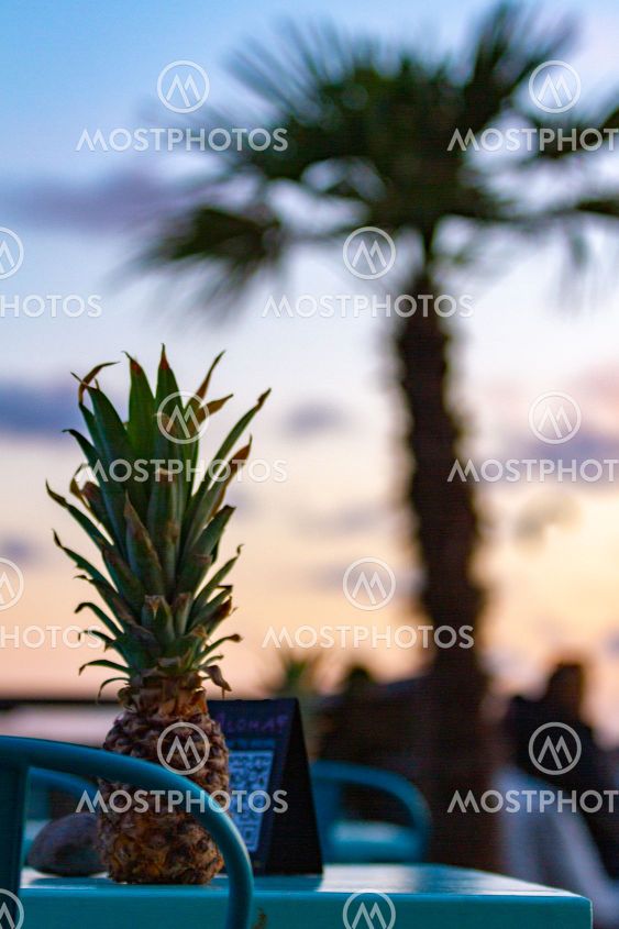Tropical vibes and surf feeling in Apelviken Varberg...