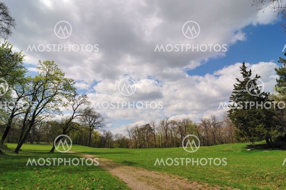 Spring in park