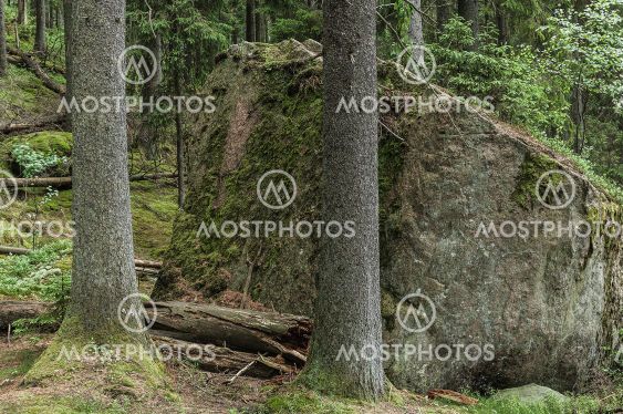 Big rock in forest, Sweden
