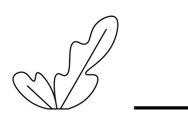 Creative Banner with Feather, Gear, and Line Elements...