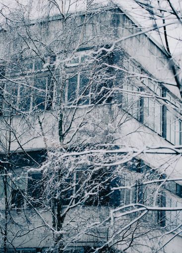 The facade of the building stands out among the branches...