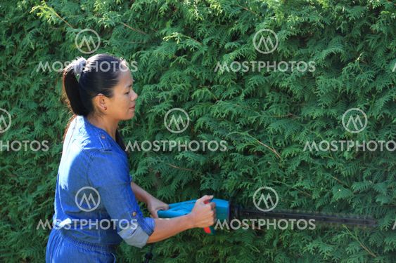 hedge-cutter