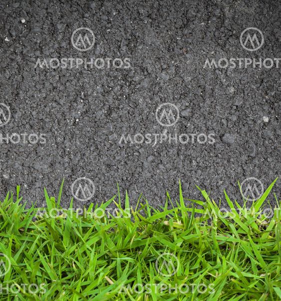 green grass and asphalt Texture