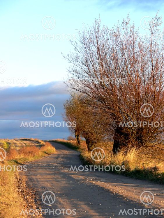 Winding Country Road