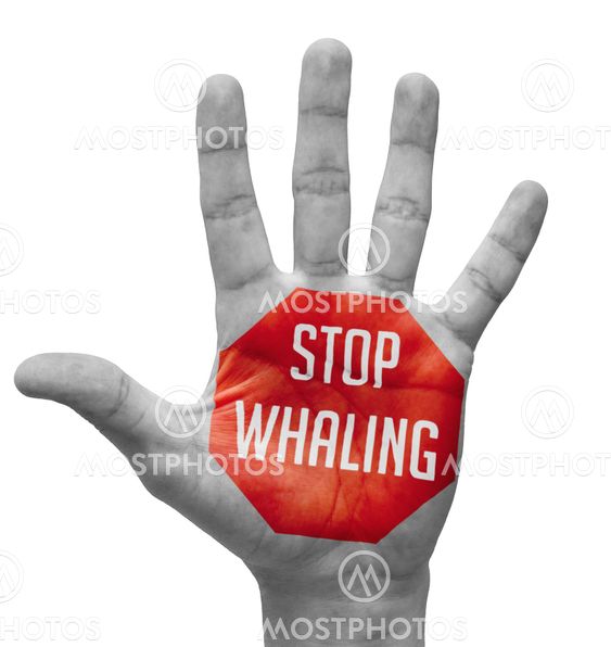 Stop Whaling on Open Hand.