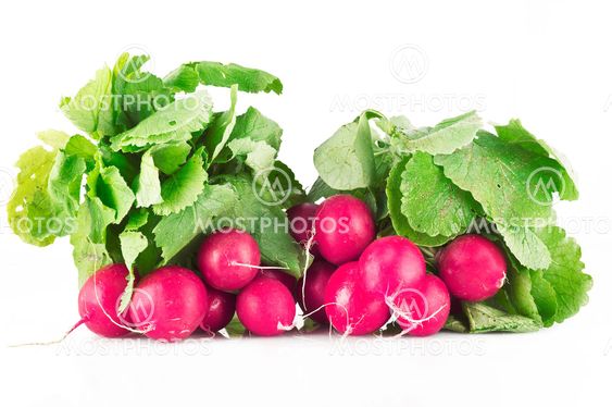 resh radish isolated on white