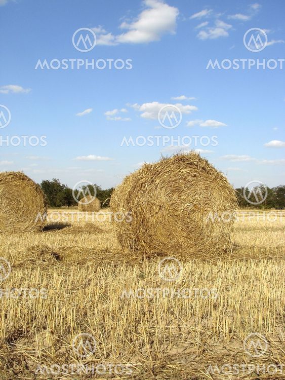 golden straw bales