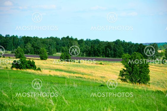 Beautiful nature Altaya