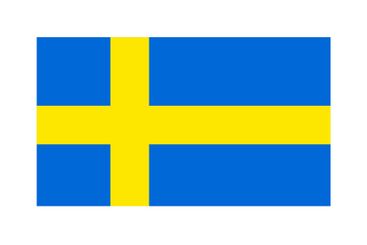 Swedish flag. Sweden flag. Vector.