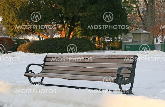 Bench in Snow