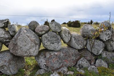 Traditionell gammal stenmur på Öland