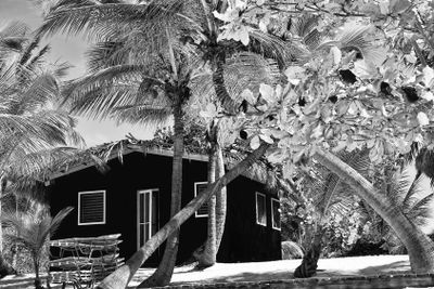 Small and Coloured Homes on the Coast of Santo Domingo