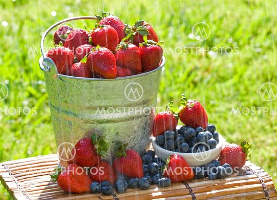 Fresh Strawberries in the Rain