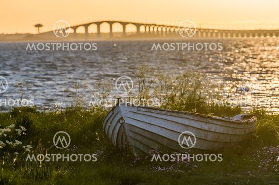 Solnedgång med en gammal eka med Ölandsbron i bakgrunden