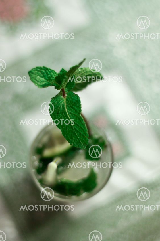 Peppermint in a glass of mojito