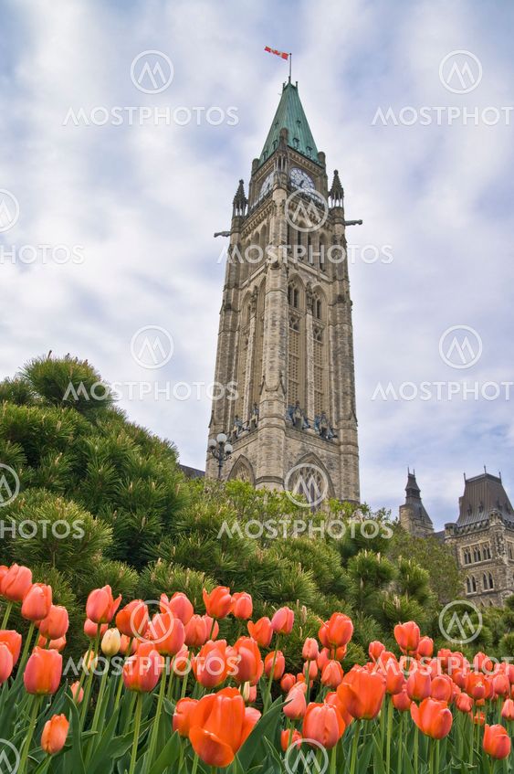 Springtime Parliament