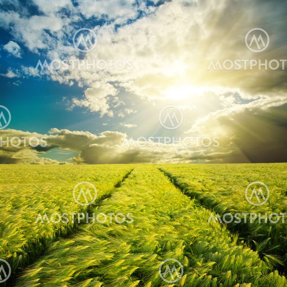 cloudy sunset over green field