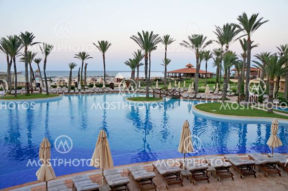 Resort swimming pool and palm trees