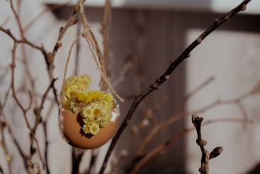 Creative handmade Easter holiday decoration from egg...