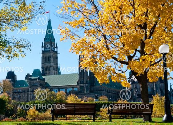 Gothic Autumn