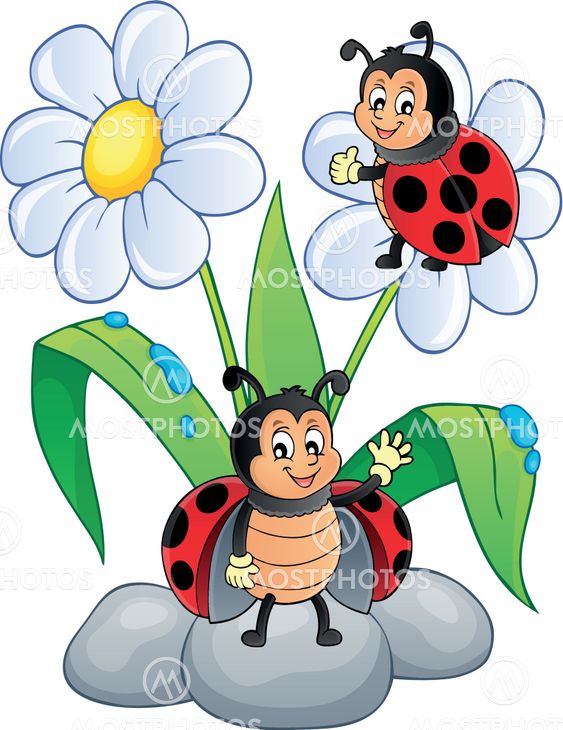 Flower and happy ladybugs theme image 1