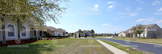 Florida Estate