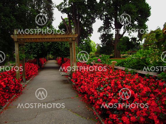 Garden Landscape