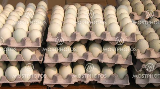 Ägg för försäljning