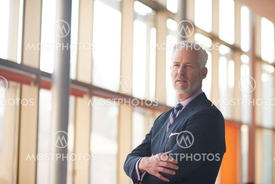 senior business man portrait